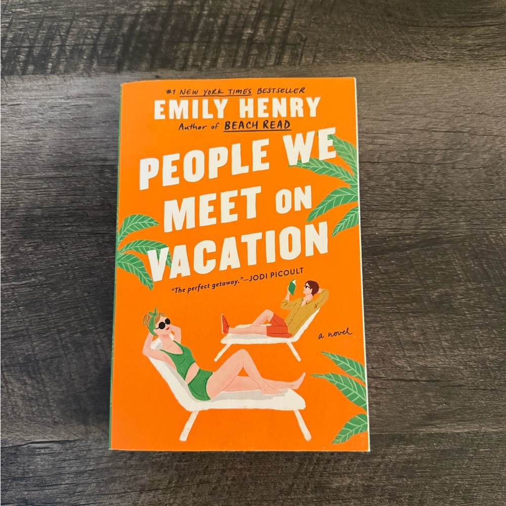 People We Meet on Vacation Book